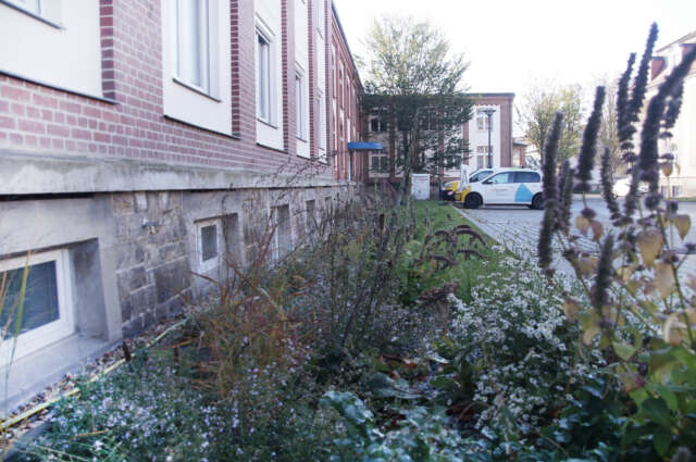Kundenzentrale Stadtwerke Zittau - Bepflanzung Außenanlage